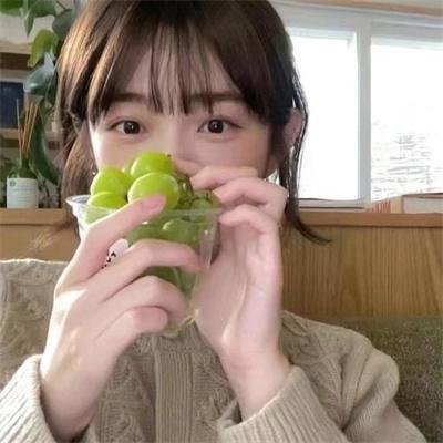 野狗们